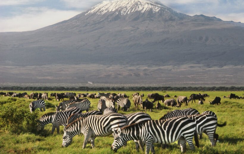 5 Day: Unforgettable Kenya Safari Adventure