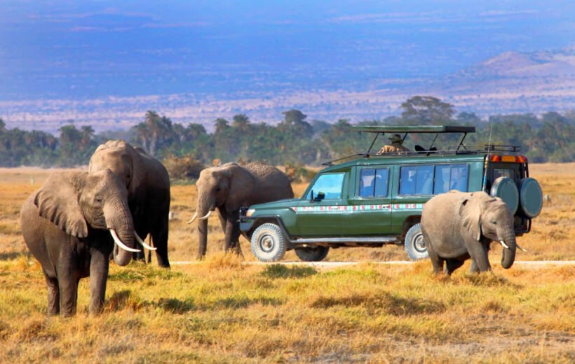 6 Day Explore Kenya in Style: Classic Wings Safari