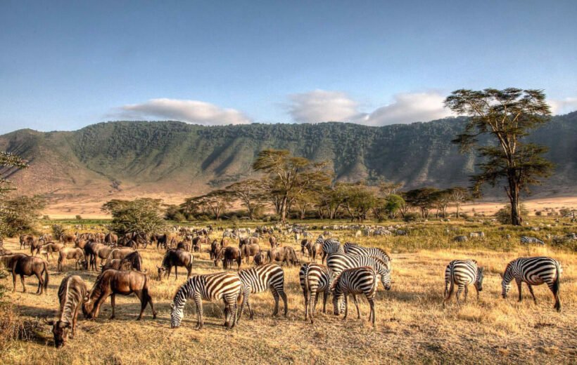 12 Day: Tanzania Luxurious Wildlife Safari & Zanzibar Beach Holiday