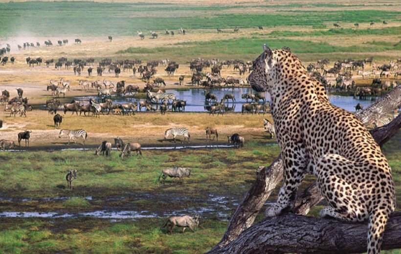 10 Day: Best of Tanzania Adventure Safari
