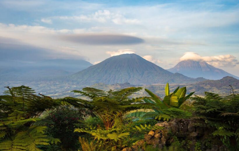 12 Day: Best of Rwanda and Uganda Safari